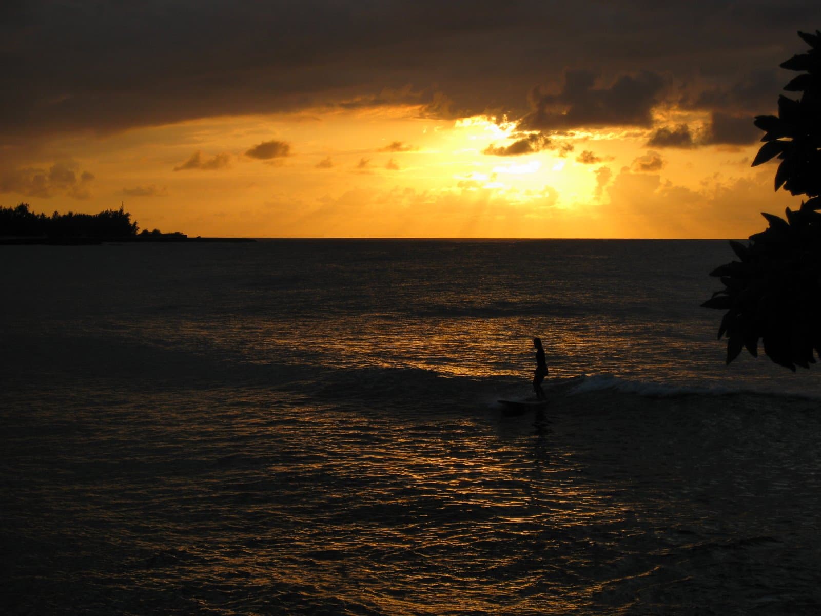 My Solo Sail to Hawaii: Challenges and Triumphs Ahead